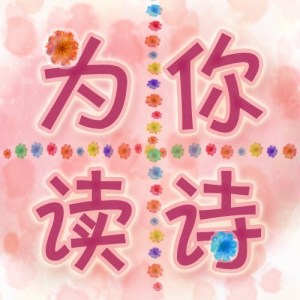 徐志摩《我不知道风是在那一个方向吹》