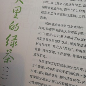2017«食品与生活»洺萩说茶 5月刊 春天里的绿茶二