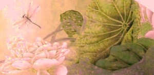 《摸鱼儿•更能消》作者:辛弃疾 朗诵:邹俊