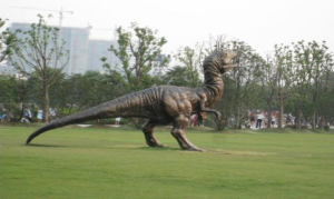 中华恐龙园(6)