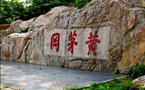 黄茅岗