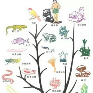 到底什么是人工智能?