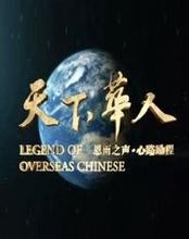 天下华人之指尖上的精彩人生:黄爱恩_0005