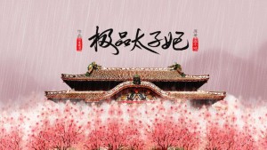 【极品太子妃】第四期