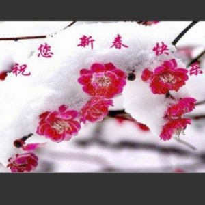 我在广东过大年-第一次去广州