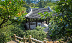 赵绘沈绣之楼
