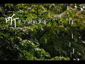 【大雨天也有好心情】陪您一起聆听下雨的声音!