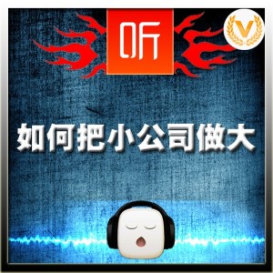如何把小公司做大01