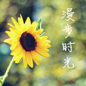 不乱于心,不困于情,不畏将来,不念过往