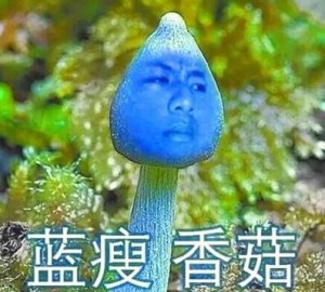 古代战神也会蓝瘦香菇哦~?