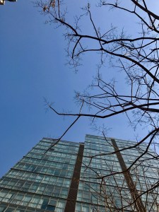 节选自《什么是好工作》- 作者 胡震宇