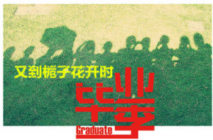 又到栀子花开时