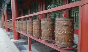 后罩楼