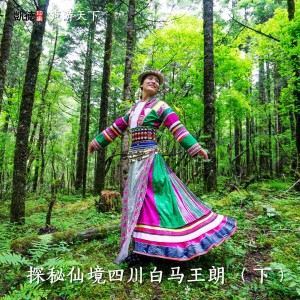 探秘仙境四川白马王朗 (下)