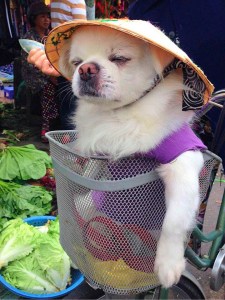 高三~忙里偷闲