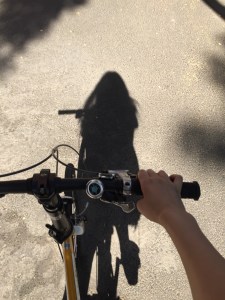 【附录一】怀孕期间常见疾病-发烧