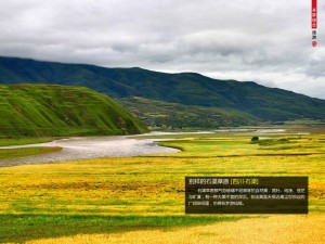坐寨盗马将酒宴摆至在聚义厅上
