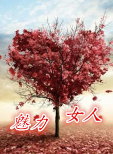 女人不怕放弃,只怕愚忠