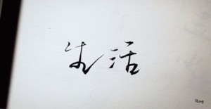 广东老火靓汤,你又知几多-主播妖妖