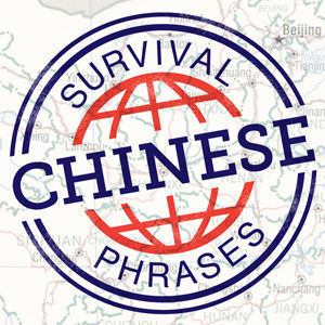 Wait there's more... Instantly access all 60 survival phrases!