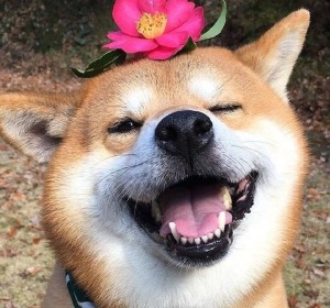 这十八个民宿装修的坑,你知道多少(一)