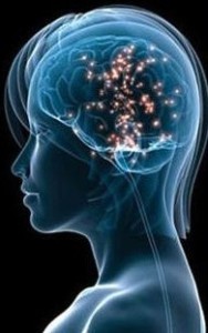 洪兰教授:趣味脑科学,揭露男女思考的差异