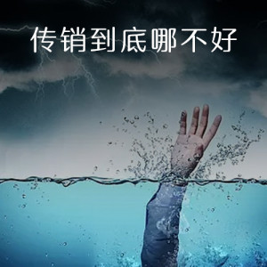 第29事儿:传销到底哪不好