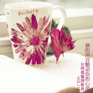谁的声音触动你的心房·台湾偶像剧歌曲
