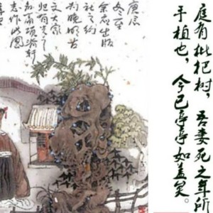 Day4项脊轩志——归有光