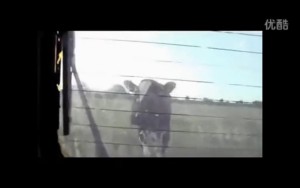 我也是母亲!