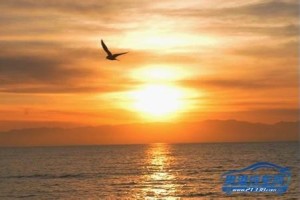 《新春咏怀》 山林子自然智慧诗