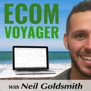 Ecom Voyager 003: Five Ways to Make Money on Amazon