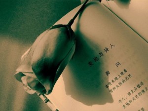 祖国(或以梦为马)
