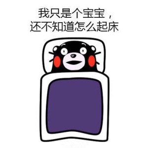 夏天最后一朵玫瑰