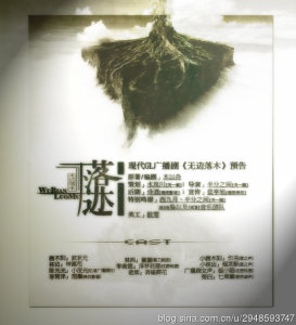 无边落木预告