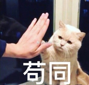 170710柒夜与小伙伴的愉悦晚安(4)