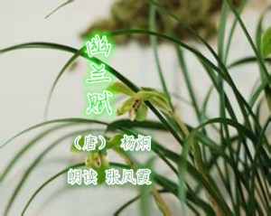 《幽兰赋》 (唐) 杨炯 朗读 张凤霞