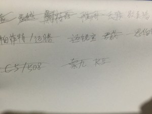 洲师父说车 逼不死的强迫症