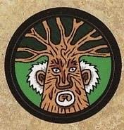 20.第一季归票发言