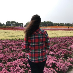 致橡树_舒婷