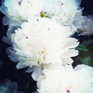 雪后阳光