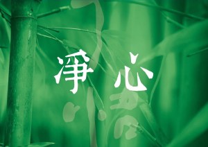 当清风完美的一天