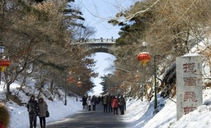 “跳墙”