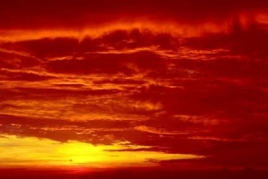《霓裳魂》 山林子自然智慧诗
