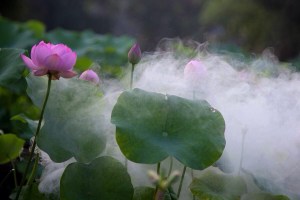 南怀瑾 10如何修证佛法