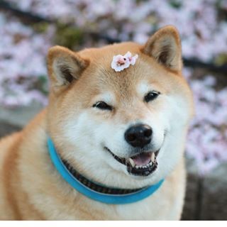title