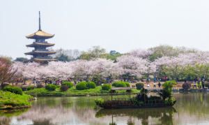 水天一色、长天楼