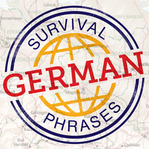 Wait there's more... Instantly access all 60 survival phrases!