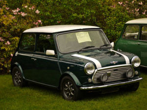 Cooper Stripes 16 Hopkirk