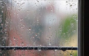 【卿莹悦读】你那里下雨了吗 作者:阿秀